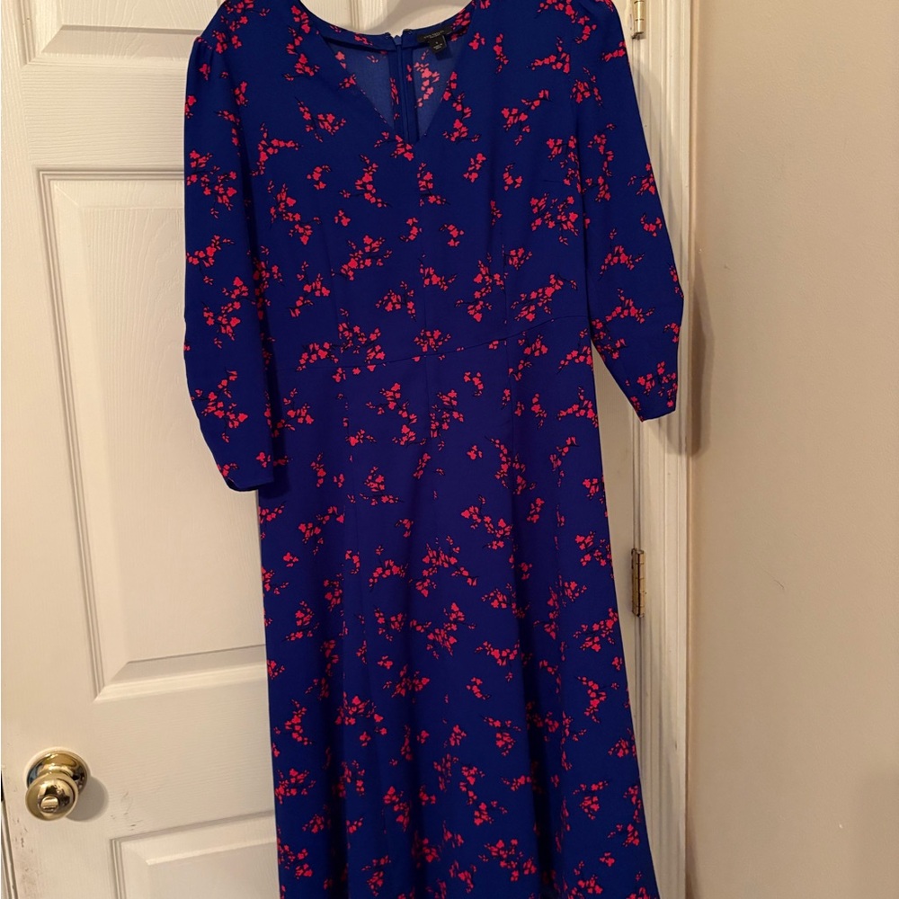 Ann Taylor Blue and Red Bishop Sleeve Sundress